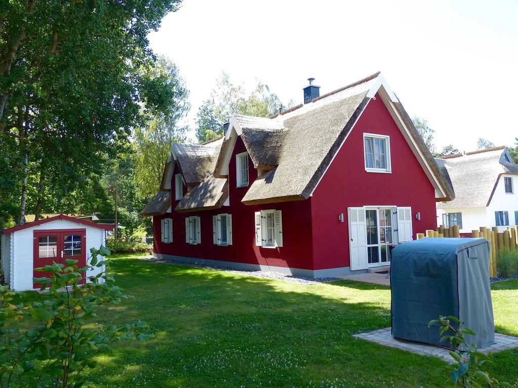 Ferienhaus Greta غلوفي المظهر الخارجي الصورة
